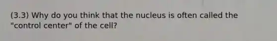 (3.3) Why do you think that the nucleus is often called the "control center" of the cell?