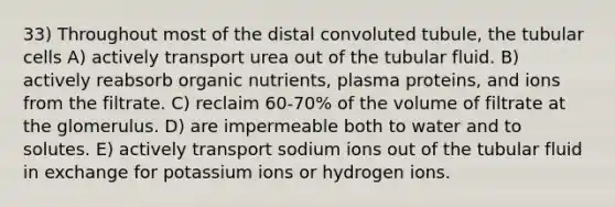 33) Throughout most of the distal convoluted tubule, the tubular cells A) actively transport urea out of the tubular fluid. B) actively reabsorb organic nutrients, plasma proteins, and ions from the filtrate. C) reclaim 60-70% of the volume of filtrate at the glomerulus. D) are impermeable both to water and to solutes. E) actively transport sodium ions out of the tubular fluid in exchange for potassium ions or hydrogen ions.