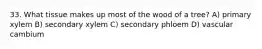 33. What tissue makes up most of the wood of a tree? A) primary xylem B) secondary xylem C) secondary phloem D) vascular cambium
