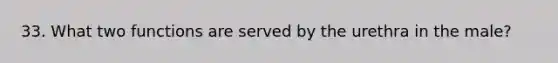 33. What two functions are served by the urethra in the male?