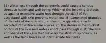 33) Water loss through the epidermis could cause a serious threat to health and well-being. Which of the following protects us against excessive water loss through the skin? A) Fat associated with skin prevents water loss. B) Lamellated granules of the cells of the stratum granulosum, a glycolipid that is secreted into extracellular spaces. C) The dermis is the thickest portion of the skin and water cannot pass through it. D) The size and shape of the cells that make up the stratum spinosum, as well as the thick bundles of intermediate filaments.