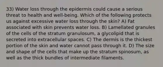 33) Water loss through the epidermis could cause a serious threat to health and well-being. Which of the following protects us against excessive water loss through the skin? A) Fat associated with skin prevents water loss. B) Lamellated granules of the cells of the stratum granulosum, a glycolipid that is secreted into extracellular spaces. C) The dermis is the thickest portion of the skin and water cannot pass through it. D) The size and shape of the cells that make up the stratum spinosum, as well as the thick bundles of intermediate filaments.