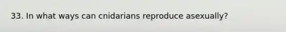 33. In what ways can cnidarians reproduce asexually?