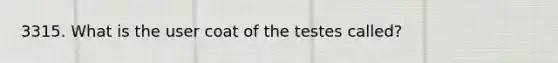 3315. What is the user coat of the testes called?