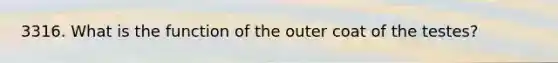 3316. What is the function of the outer coat of the testes?