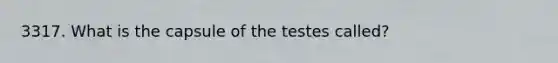 3317. What is the capsule of the testes called?