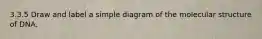 3.3.5 Draw and label a simple diagram of the molecular structure of DNA.