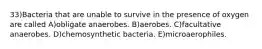 33)Bacteria that are unable to survive in the presence of oxygen are called A)obligate anaerobes. B)aerobes. C)facultative anaerobes. D)chemosynthetic bacteria. E)microaerophiles.