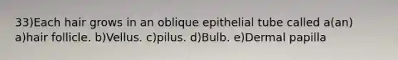 33)Each hair grows in an oblique epithelial tube called a(an) a)hair follicle. b)Vellus. c)pilus. d)Bulb. e)Dermal papilla