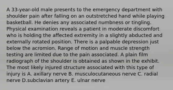 A 33-year-old male presents to the emergency department with shoulder pain after falling on an outstretched hand while playing basketball. He denies any associated numbness or tingling. Physical examination reveals a patient in moderate discomfort who is holding the affected extremity in a slightly abducted and externally rotated position. There is a palpable depression just below the acromion. Range of motion and muscle strength testing are limited due to the pain associated. A plain film radiograph of the shoulder is obtained as shown in the exhibit. The most likely injured structure associated with this type of injury is A. axillary nerve B. musculocutaneous nerve C. radial nerve D.subclavian artery E. ulnar nerve