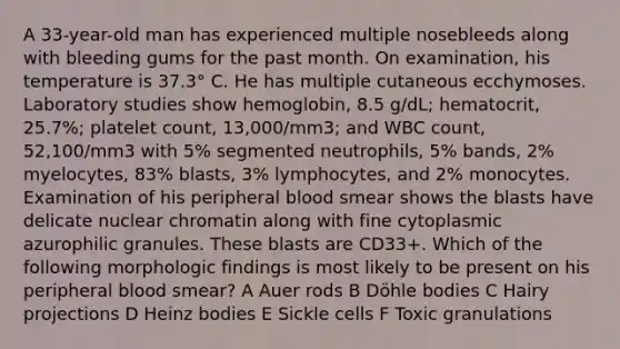 A 33-year-old man has experienced multiple nosebleeds along with bleeding gums for the past month. On examination, his temperature is 37.3° C. He has multiple cutaneous ecchymoses. Laboratory studies show hemoglobin, 8.5 g/dL; hematocrit, 25.7%; platelet count, 13,000/mm3; and WBC count, 52,100/mm3 with 5% segmented neutrophils, 5% bands, 2% myelocytes, 83% blasts, 3% lymphocytes, and 2% monocytes. Examination of his peripheral blood smear shows the blasts have delicate nuclear chromatin along with fine cytoplasmic azurophilic granules. These blasts are CD33+. Which of the following morphologic findings is most likely to be present on his peripheral blood smear? A Auer rods B Döhle bodies C Hairy projections D Heinz bodies E Sickle cells F Toxic granulations