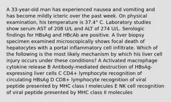 A 33-year-old man has experienced nausea and vomiting and has become mildly icteric over the past week. On physical examination, his temperature is 37.4° C. Laboratory studies show serum AST of 208 U/L and ALT of 274 U/L. Serologic findings for HBsAg and HBcAb are positive. A liver biopsy specimen examined microscopically shows focal death of hepatocytes with a portal inflammatory cell infiltrate. Which of the following is the most likely mechanism by which his liver cell injury occurs under these conditions? A Activated macrophage cytokine release B Antibody-mediated destruction of HBsAg-expressing liver cells C CD4+ lymphocyte recognition of circulating HBsAg D CD8+ lymphocyte recognition of viral peptide presented by MHC class I molecules E NK cell recognition of viral peptide presented by MHC class II molecules