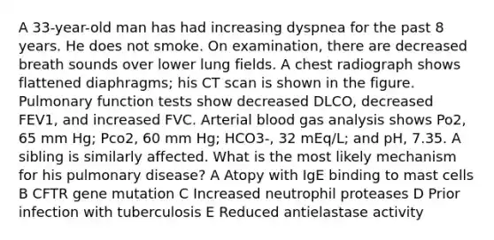 A 33-year-old man has had increasing dyspnea for the past 8 years. He does not smoke. On examination, there are decreased breath sounds over lower lung fields. A chest radiograph shows flattened diaphragms; his CT scan is shown in the figure. Pulmonary function tests show decreased DLCO, decreased FEV1, and increased FVC. Arterial blood gas analysis shows Po2, 65 mm Hg; Pco2, 60 mm Hg; HCO3-, 32 mEq/L; and pH, 7.35. A sibling is similarly affected. What is the most likely mechanism for his pulmonary disease? A Atopy with IgE binding to mast cells B CFTR gene mutation C Increased neutrophil proteases D Prior infection with tuberculosis E Reduced antielastase activity