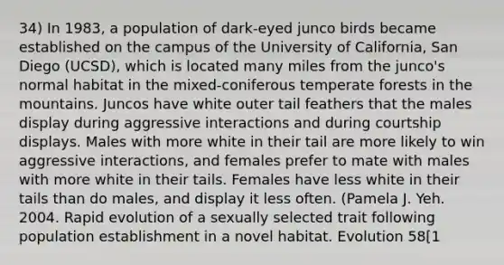 34) In 1983, a population of dark-eyed junco birds became established on the campus of the University of California, San Diego (UCSD), which is located many miles from the junco's normal habitat in the mixed-coniferous temperate forests in the mountains. Juncos have white outer tail feathers that the males display during aggressive interactions and during courtship displays. Males with more white in their tail are more likely to win aggressive interactions, and females prefer to mate with males with more white in their tails. Females have less white in their tails than do males, and display it less often. (Pamela J. Yeh. 2004. Rapid evolution of a sexually selected trait following population establishment in a novel habitat. Evolution 58[1