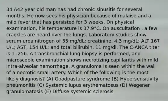 34 A42-year-old man has had chronic sinusitis for several months. He now sees his physician because of malaise and a mild fever that has persisted for 3 weeks. On physical examination, his temperature is 37.9°C. On auscultation , a few crackles are heard over the lungs. Laboratory studies show serum urea nitrogen of 35 mg/dL; creatinine, 4.3 mg/dL; ALT,167 U/L; AST, 154 U/L; and total bilirubin, 11 mg/dl. The C-ANCA titer is 1 :256. A transbronchial lung biopsy is performed, and microscopic examination shows necrotizing capillaritis with mild intra-alveolar hemorrhage. A granuloma is seen within the wall of a necrotic small artery. Which of the following is the most likely diagnosis? (A) Goodpasture syndrome (B) Hypersensitivity pneumonitis (C) Systemic lupus erythematosus (D) Wegener granulomatosis (E) Diffuse systemic sclerosis