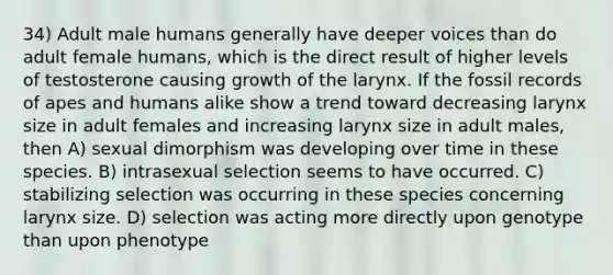 34) Adult male humans generally have deeper voices than do adult female humans, which is the direct result of higher levels of testosterone causing growth of the larynx. If the fossil records of apes and humans alike show a trend toward decreasing larynx size in adult females and increasing larynx size in adult males, then A) sexual dimorphism was developing over time in these species. B) intrasexual selection seems to have occurred. C) stabilizing selection was occurring in these species concerning larynx size. D) selection was acting more directly upon genotype than upon phenotype