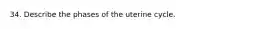 34. Describe the phases of the uterine cycle.