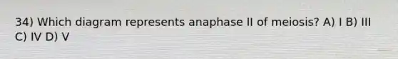 34) Which diagram represents anaphase II of meiosis? A) I B) III C) IV D) V