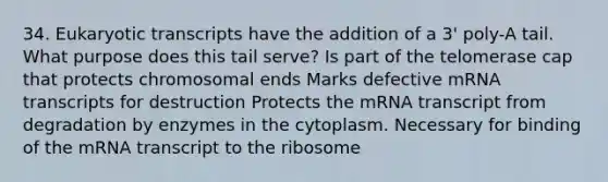 34. Eukaryotic transcripts have the addition of a 3' poly-A tail. What purpose does this tail serve? Is part of the telomerase cap that protects chromosomal ends Marks defective mRNA transcripts for destruction Protects the mRNA transcript from degradation by enzymes in the cytoplasm. Necessary for binding of the mRNA transcript to the ribosome