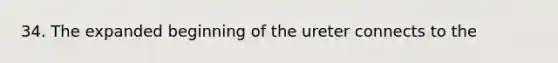 34. The expanded beginning of the ureter connects to the