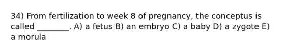 34) From fertilization to week 8 of pregnancy, the conceptus is called ________. A) a fetus B) an embryo C) a baby D) a zygote E) a morula