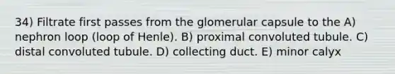 34) Filtrate first passes from the glomerular capsule to the A) nephron loop (loop of Henle). B) proximal convoluted tubule. C) distal convoluted tubule. D) collecting duct. E) minor calyx