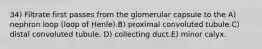 34) Filtrate first passes from the glomerular capsule to the A) nephron loop (loop of Henle).B) proximal convoluted tubule.C) distal convoluted tubule. D) collecting duct.E) minor calyx.