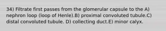 34) Filtrate first passes from the glomerular capsule to the A) nephron loop (loop of Henle).B) proximal convoluted tubule.C) distal convoluted tubule. D) collecting duct.E) minor calyx.