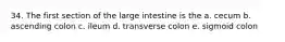 34. The first section of the large intestine is the a. cecum b. ascending colon c. ileum d. transverse colon e. sigmoid colon