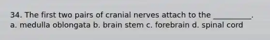 34. The first two pairs of cranial nerves attach to the __________. a. medulla oblongata b. brain stem c. forebrain d. spinal cord