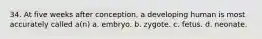 34. At five weeks after conception, a developing human is most accurately called a(n) a. embryo. b. zygote. c. fetus. d. neonate.
