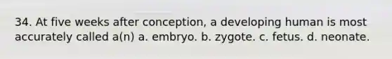 34. At five weeks after conception, a developing human is most accurately called a(n) a. embryo. b. zygote. c. fetus. d. neonate.