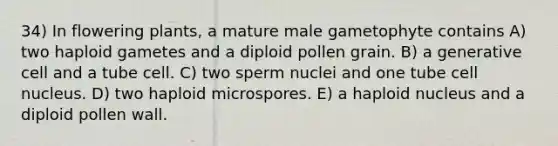 34) In flowering plants, a mature male gametophyte contains A) two haploid gametes and a diploid pollen grain. B) a generative cell and a tube cell. C) two sperm nuclei and one tube <a href='https://www.questionai.com/knowledge/ksZq6y1LRD-cell-nucleus' class='anchor-knowledge'>cell nucleus</a>. D) two haploid microspores. E) a haploid nucleus and a diploid pollen wall.