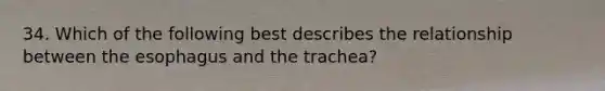 34. Which of the following best describes the relationship between the esophagus and the trachea?