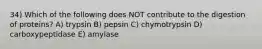 34) Which of the following does NOT contribute to the digestion of proteins? A) trypsin B) pepsin C) chymotrypsin D) carboxypeptidase E) amylase