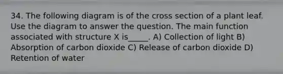 34. The following diagram is of the cross section of a plant leaf. Use the diagram to answer the question. The main function associated with structure X is_____. A) Collection of light B) Absorption of carbon dioxide C) Release of carbon dioxide D) Retention of water