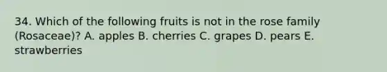 34. Which of the following fruits is not in the rose family (Rosaceae)? A. apples B. cherries C. grapes D. pears E. strawberries