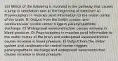 34) Which of the following is involved in the pathway that causes a jump in ventilation rate at the beginning of exercise? A) Proprioceptors in muscles send information to the motor cortex of the brain. B) Output from the limbic system and cardiovascular control center triggers parasympathetic discharge. C) Widespread vasoconstriction causes increase in blood pressure. D) Proprioceptors in muscles send information to the motor cortex of the brain and widespread vasoconstriction causes increase in blood pressure. E) Output from the limbic system and cardiovascular control center triggers parasympathetic discharge and widespread vasoconstriction causes increase in blood pressure.