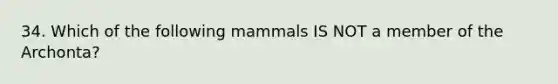 34. Which of the following mammals IS NOT a member of the Archonta?