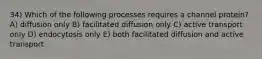 34) Which of the following processes requires a channel protein? A) diffusion only B) facilitated diffusion only C) active transport only D) endocytosis only E) both facilitated diffusion and active transport