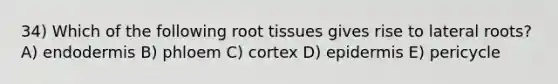 34) Which of the following root tissues gives rise to lateral roots? A) endodermis B) phloem C) cortex D) epidermis E) pericycle