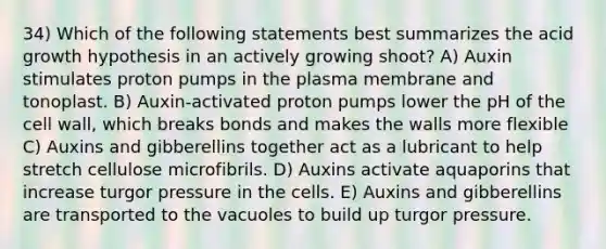 34) Which of the following statements best summarizes the acid growth hypothesis in an actively growing shoot? A) Auxin stimulates proton pumps in the plasma membrane and tonoplast. B) Auxin-activated proton pumps lower the pH of the cell wall, which breaks bonds and makes the walls more flexible C) Auxins and gibberellins together act as a lubricant to help stretch cellulose microfibrils. D) Auxins activate aquaporins that increase turgor pressure in the cells. E) Auxins and gibberellins are transported to the vacuoles to build up turgor pressure.