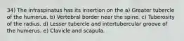 34) The infraspinatus has its insertion on the a) Greater tubercle of the humerus. b) Vertebral border near the spine. c) Tuberosity of the radius. d) Lesser tubercle and intertubercular groove of the humerus. e) Clavicle and scapula.