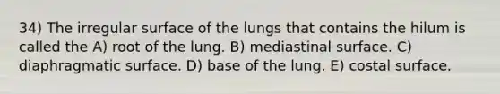 34) The irregular surface of the lungs that contains the hilum is called the A) root of the lung. B) mediastinal surface. C) diaphragmatic surface. D) base of the lung. E) costal surface.