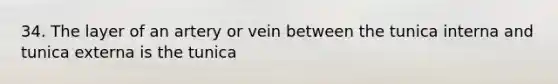 34. The layer of an artery or vein between the tunica interna and tunica externa is the tunica