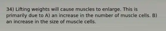 34) Lifting weights will cause muscles to enlarge. This is primarily due to A) an increase in the number of muscle cells. B) an increase in the size of muscle cells.