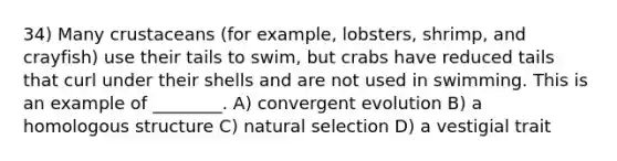 34) Many crustaceans (for example, lobsters, shrimp, and crayfish) use their tails to swim, but crabs have reduced tails that curl under their shells and are not used in swimming. This is an example of ________. A) convergent evolution B) a homologous structure C) natural selection D) a vestigial trait