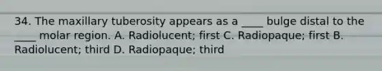 34. The maxillary tuberosity appears as a ____ bulge distal to the ____ molar region. A. Radiolucent; first C. Radiopaque; first B. Radiolucent; third D. Radiopaque; third