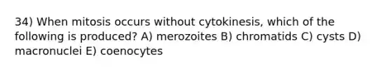 34) When mitosis occurs without cytokinesis, which of the following is produced? A) merozoites B) chromatids C) cysts D) macronuclei E) coenocytes