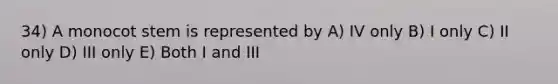 34) A monocot stem is represented by A) IV only B) I only C) II only D) III only E) Both I and III